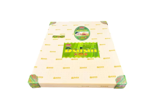 Nệm Ép Dẻo BALAN