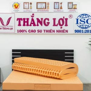 Kho Nệm Thắng Lợi Thủ Đức, Kho Nệm Nệm Cao Su Thắng Lợi Thủ Đức, Kho Nệm Nệm Cao Su Thắng Lợi Thủ Đức, Kho Nệm Nệm Cao Su Thủ Đức, Kho Nệm Nệm Cao Su Thủ Đức, Kho Nệm Thủ Đức, Nệm Thắng Lợi Thủ Đức, nệm Nệm Cao Su, Nệm Nệm Cao Su Thắng Lợi, Nệm Nệm Cao Su Thắng Lợi, Nệm Nệm Cao Su Thắng Lợi , Nệm Nệm Cao Su Thắng Lợi Thủ Đức, nệm Nệm Cao Su, Nệm Nệm Cao Su Thắng Lợi, Nệm Nệm Cao Su Thắng Lợi, Nệm Nệm Cao Su Thắng Lợi, Nệm Nệm Cao Su Thắng Lợi , Nệm Nệm Cao Su Thắng Lợi Thủ Đức, Nệm Nệm Cao Su Thủ Đức, Nệm Nệm Cao Su Thủ Đức, Nệm Giá Kho Thủ Đức, Nệm Nệm Cao Su Thắng Lợi Thủ Đức, Kho Nệm Nệm Cao Su Thắng Lợi , Nệm Nệm Cao Su Thắng Lợi ,