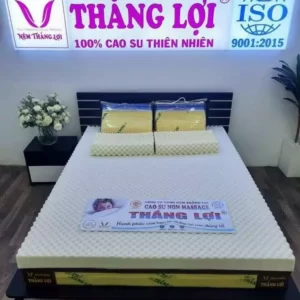 Nệm Cao Su Non Massage Thắng Lợi