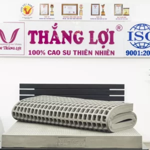 Nệm 100% Cao Su Thiên Nhiên Thắng Lợi BoBo - Than Hoạt Tính