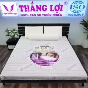 Nệm MEMORY FOAM Thắng Lợi