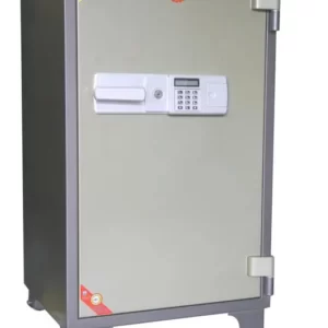 Két sắt HS - 100E