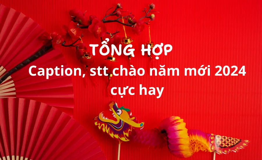 Caption Stt Chào Năm Mới Ngắn Gọn cực Hay